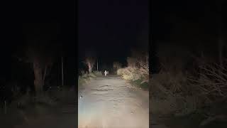 live ghost 😱😱 #ghostarea #horror #ghost #horrorstation At village Haryana