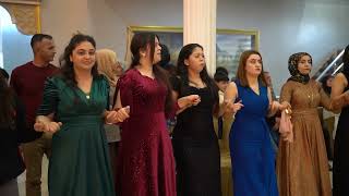 Hozan Sinan Grani Bozo Aktürk Aşireti