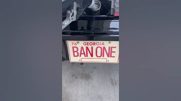 1981 Bandit Trans Am