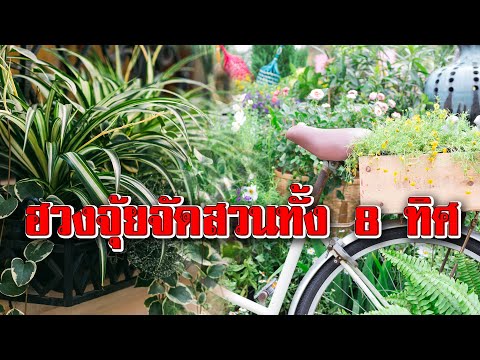 จัดสวนทั้ง 8 ทิศด้วยต้นไม้มงคล เสริมฮวงจุ้ย เสริมสิริมงคลแก่ครอบครัว