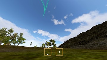 Flight Training - Tree proximity diving