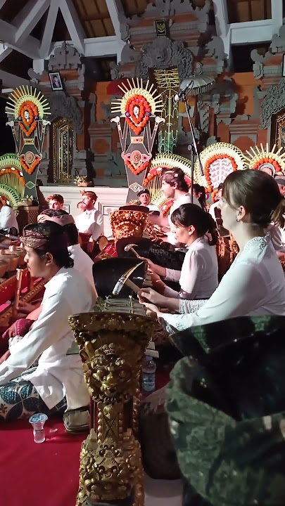 Bule Main Gamelan | Bali Gamelan Played By European #gamelan #shorts #traditionalmusicindonesia