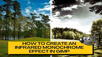 How to Create an Infrared MONOCHROME Effect in GIMP