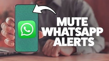 How To Turn Off Notifications On WhatsApp 2025 (iPhone & Android)