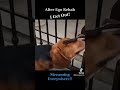 Alter Ego Rehab - I Get Out (Official music video)