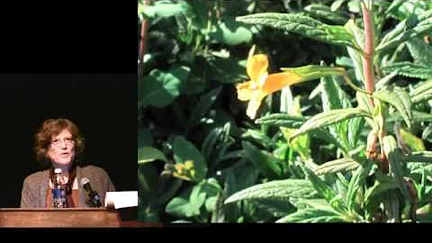 Judith Lowrey2.mp4