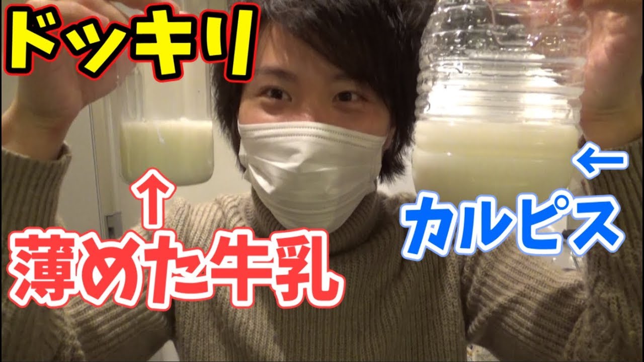 【嫁ドッキリ】カルピスの中身を薄めた牛乳とすり替えた