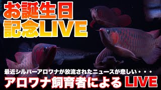 【アロワナ飼育者によるライブ】シルバーアロワナ放流が残念な気持ちのアロワナ飼育者によるアクアリウム雑談　熱帯魚アクアリウム