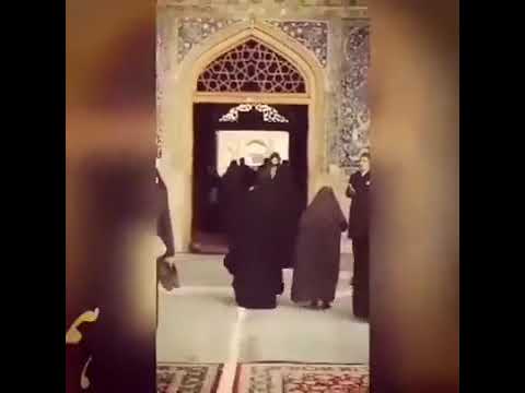 Hamed Zamani in the Haram of Imam Reza a.s حامد زمانی در حرم امام رضاؑ | Hamed Zamani Official