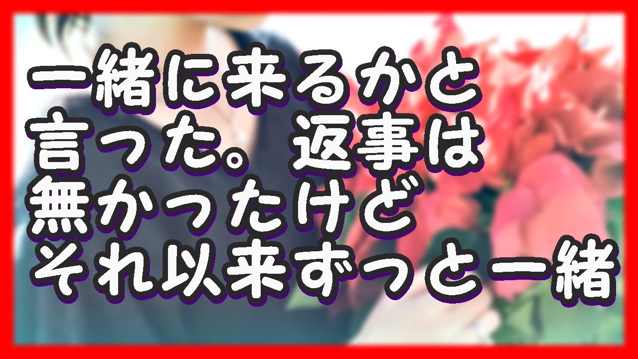 馴れ初め 一緒に来るかと言った。返事は無かったけどそれ以来ずっと一緒 YouTube 馴れ初め 一緒に来るかと言った。返事は無かったけどそれ以来ずっと一緒 YouTube