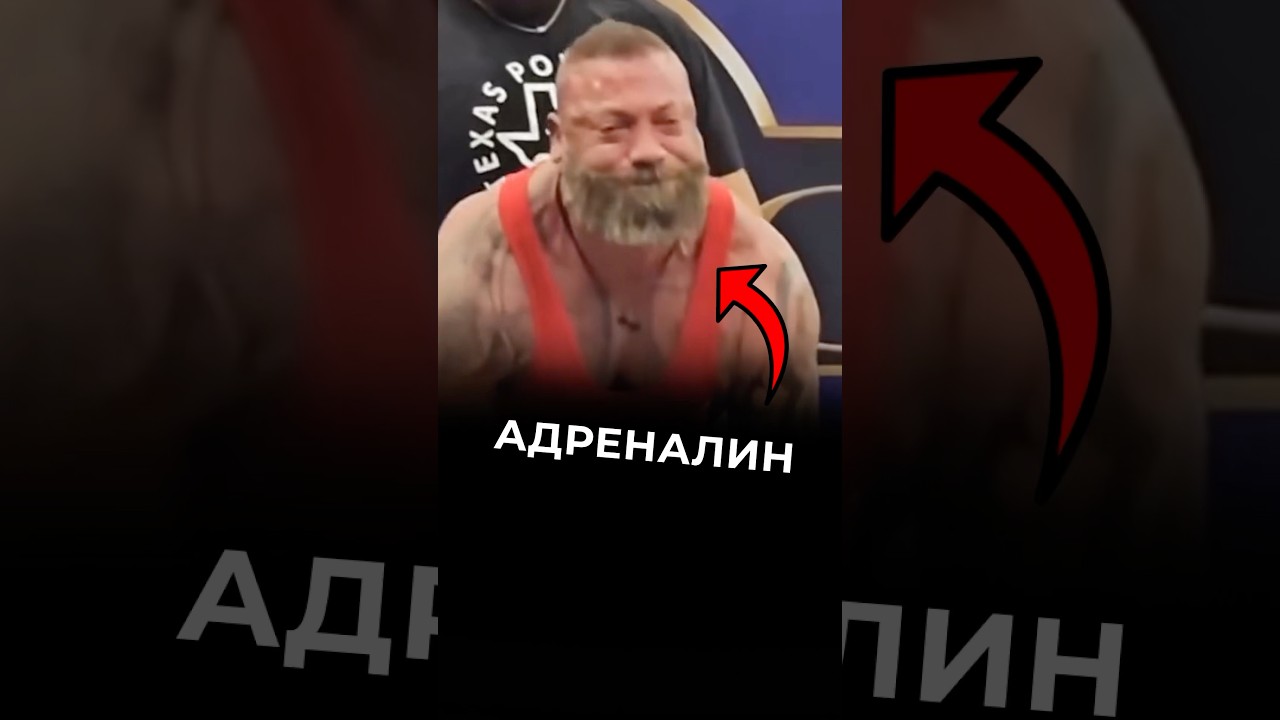 Говяжьи Головы Ч.7 