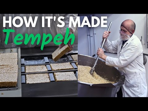 What Is Tempeh Made Of