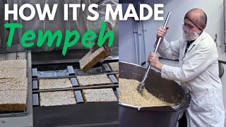 How Tempeh is Made - Factory Tour: From Soybeans to Scrumptious Pizza!