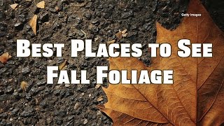 Best Places to see Fall Foliage KC