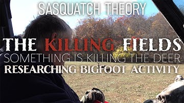 Er wordt nog steeds herten gedood in mijn onderzoeksgebied | Bigfoot-activiteit | De Killing Fields