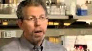 PBS Nova ScienceNOW Obesity