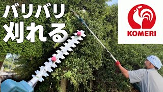 mqdefault.jpg