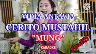 KARAOKE ID // VIDIA ANTAVIA - CERITO MUSTAHIL (MUNG) . KARAOKE TANPA VOKAL