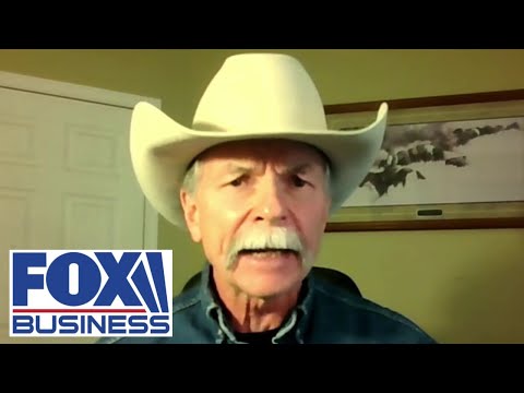 'SEVERED': CEO reveals suspicion for divergence in beef, cattle prices