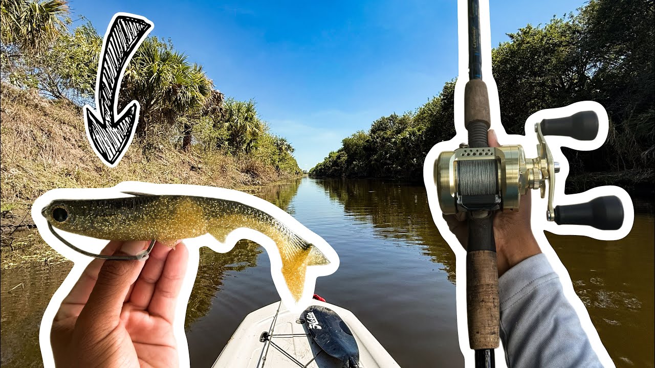 FISHING BACKWATER RIVER FOR A BIG SNOOK AND BASS!( NLBN 7” K-tail)