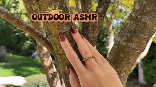Tapping & Scratching Around Outside! No Talking  ASMR