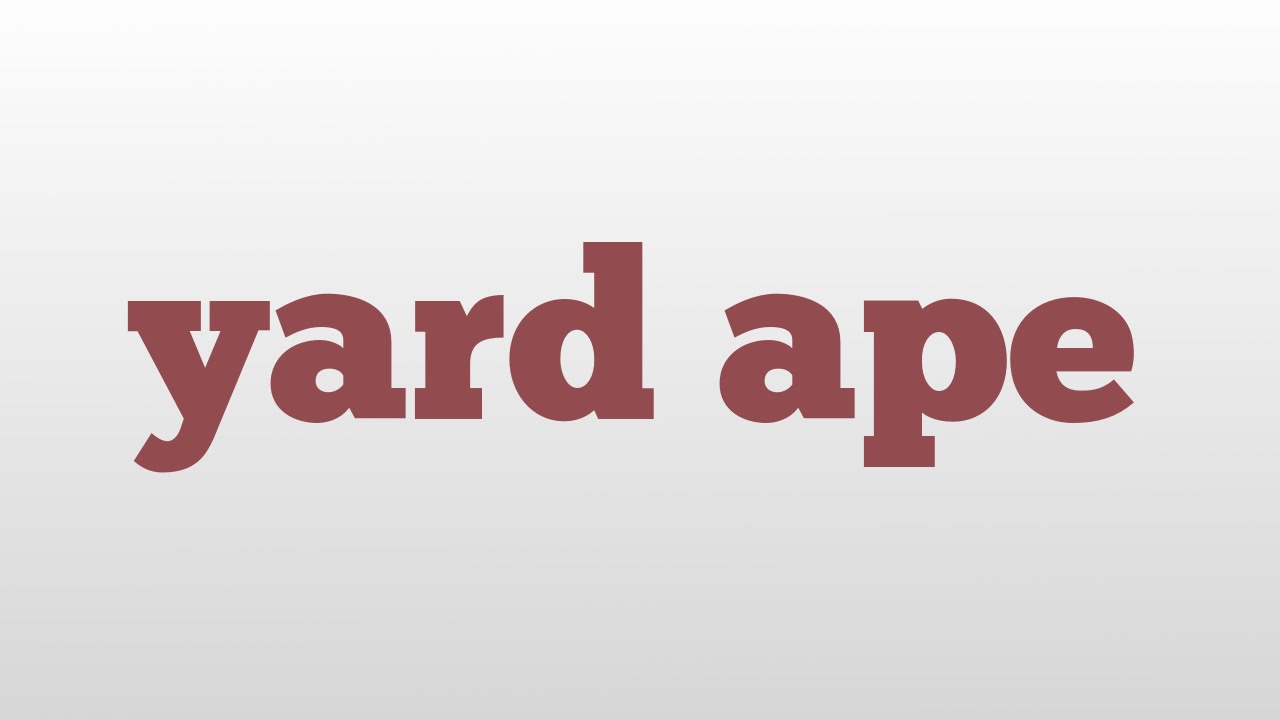 yard ape meaning and pronunciation