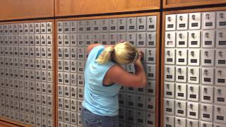 LTLE 370 - You Know You Go To JMU When