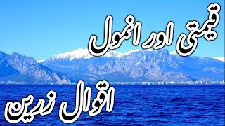 Keemty Ar Anmol Aqwal Aqwal E Zareen In Urdu Aqwale Zareen Hindi Quotes