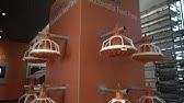 Big Dutchman Feed System Gourley Research Group 16 Youtube