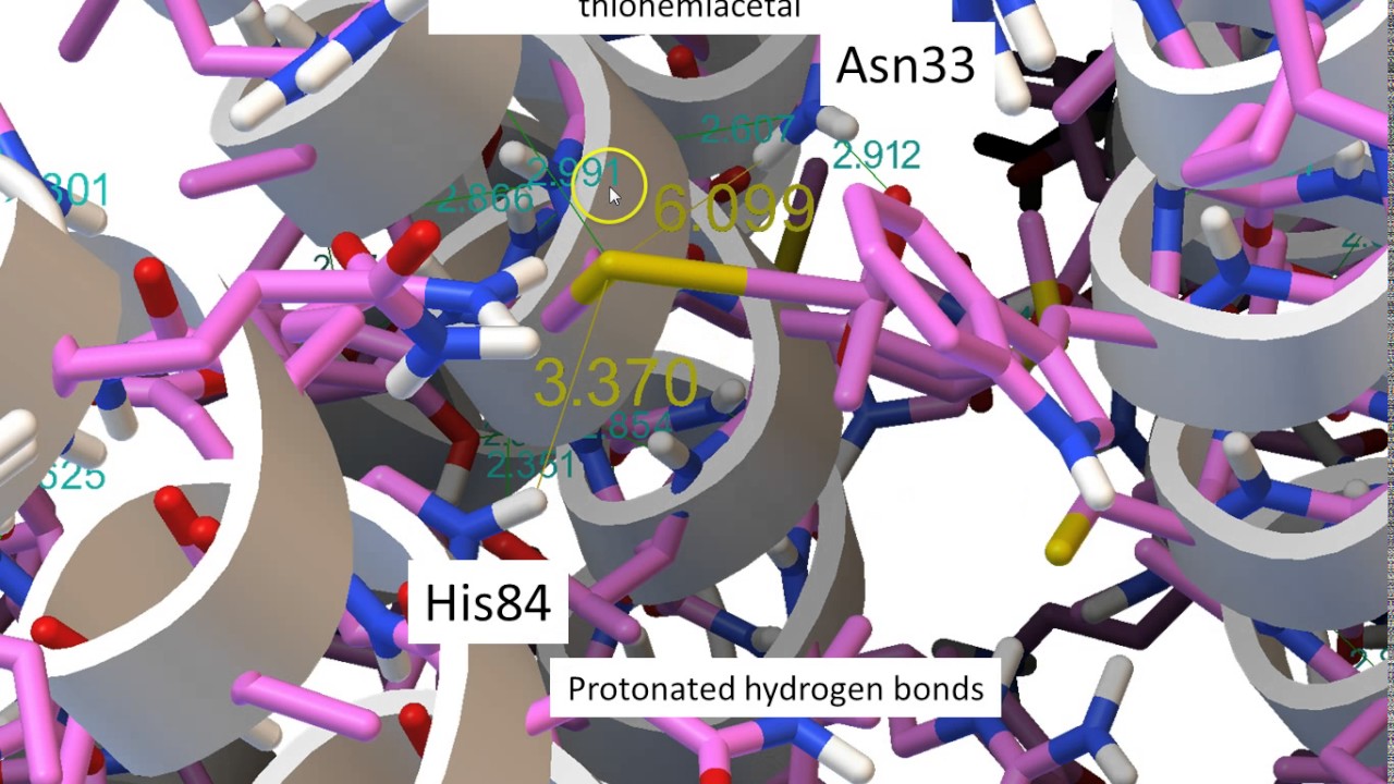 Pyruvate transport alternating access MPC1 2 heterodimer Final