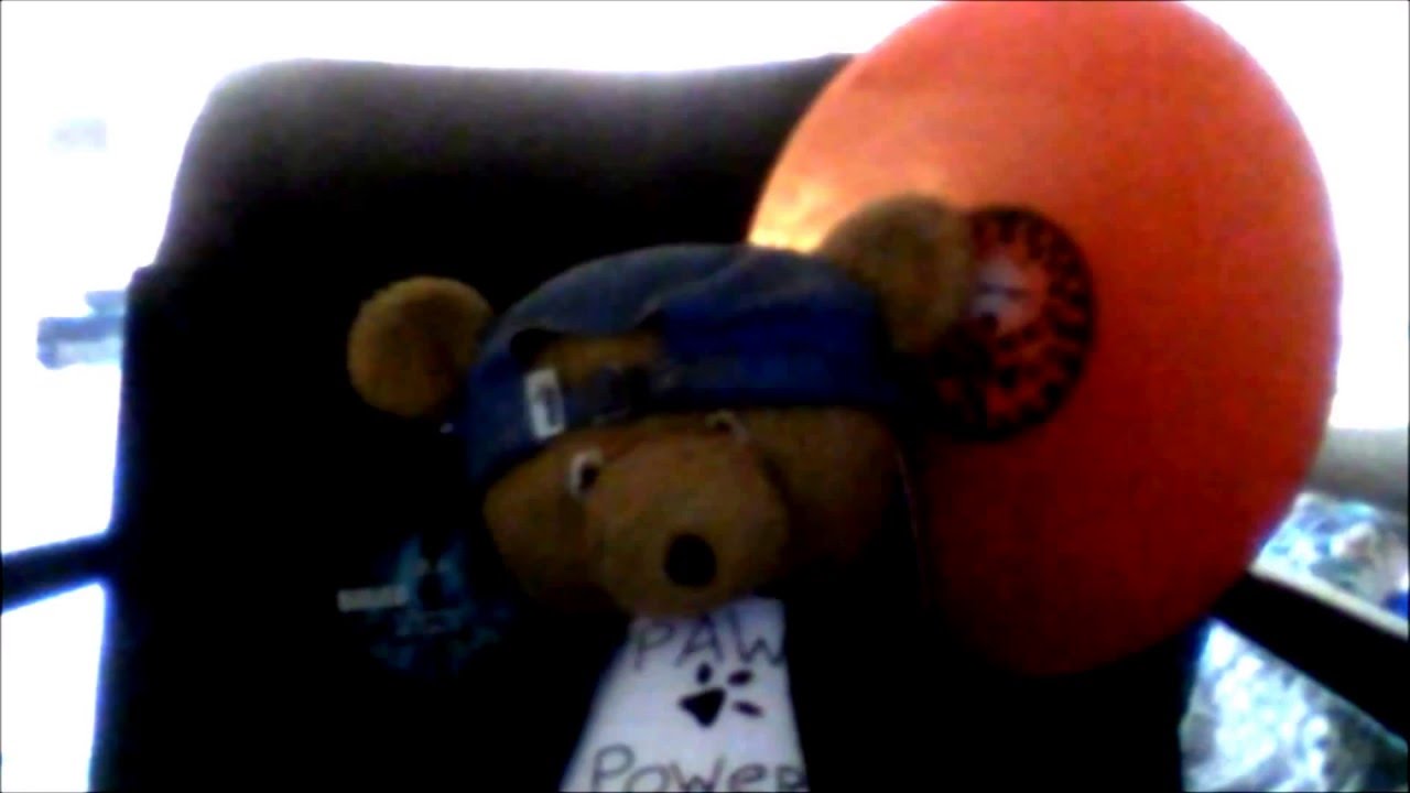 Watch C.B.A.- British shorthair (acid-techno) on YouTube Watch C.B.A.- British shorthair (acid-techno) on YouTube