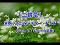 「二輪草/(ニリンソウ)」 ~ 歌:川中美幸 (作曲:弦哲也)                      [クラシックギター3重奏]/( Guitar Trio / Remoto Recording)