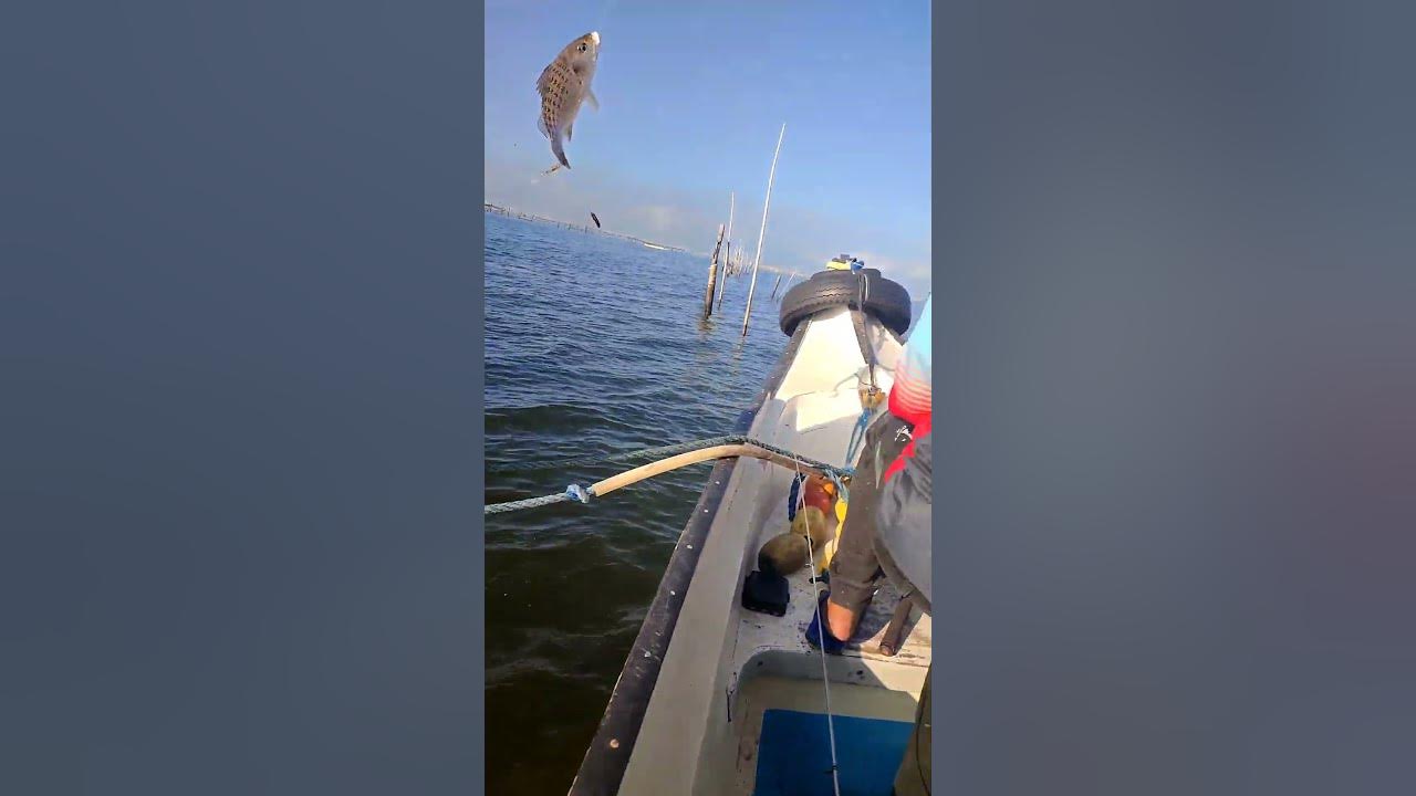bro-nick-of-basang-sisiw-anglers-caught-a-good-size-grunter-fish-at