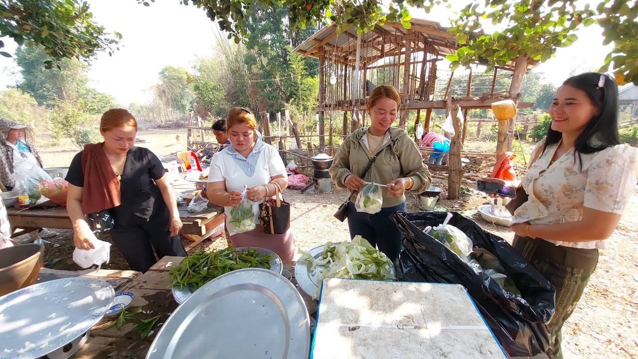 พาสาวใบเฟิร์น สาวทองสาวเย็น มาช่วยงานแจกข้าวแม่เฒ่า   3 มีนาคม ค.ศ. 2026