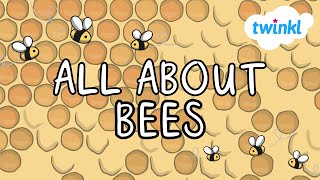 All About Bees for Kids | Why are bees important? | Different Types of Bees | Twinkl USA