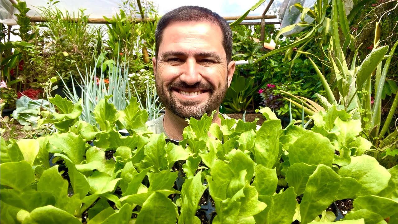 UM DETALHE SIMPLES QUE MUDA TODO O CULTIVO