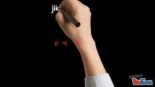 BULI SIBER
