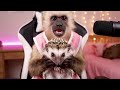 KIBO ASMR - DIA DE SPA CON PINCHITO #kiboasmr