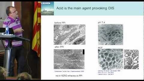 Seminar: Mucosal integrity in gastro-oesophageal reflux disease (Dr. Ricard Farré)