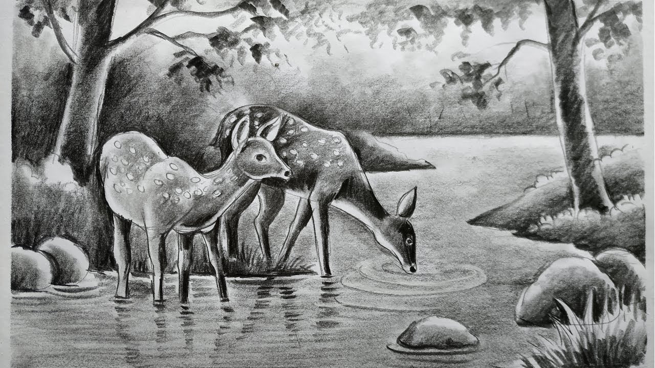 How to draw Deer step by step easy _ How to Draw Deer in Oil pastel color -  video Dailymotion