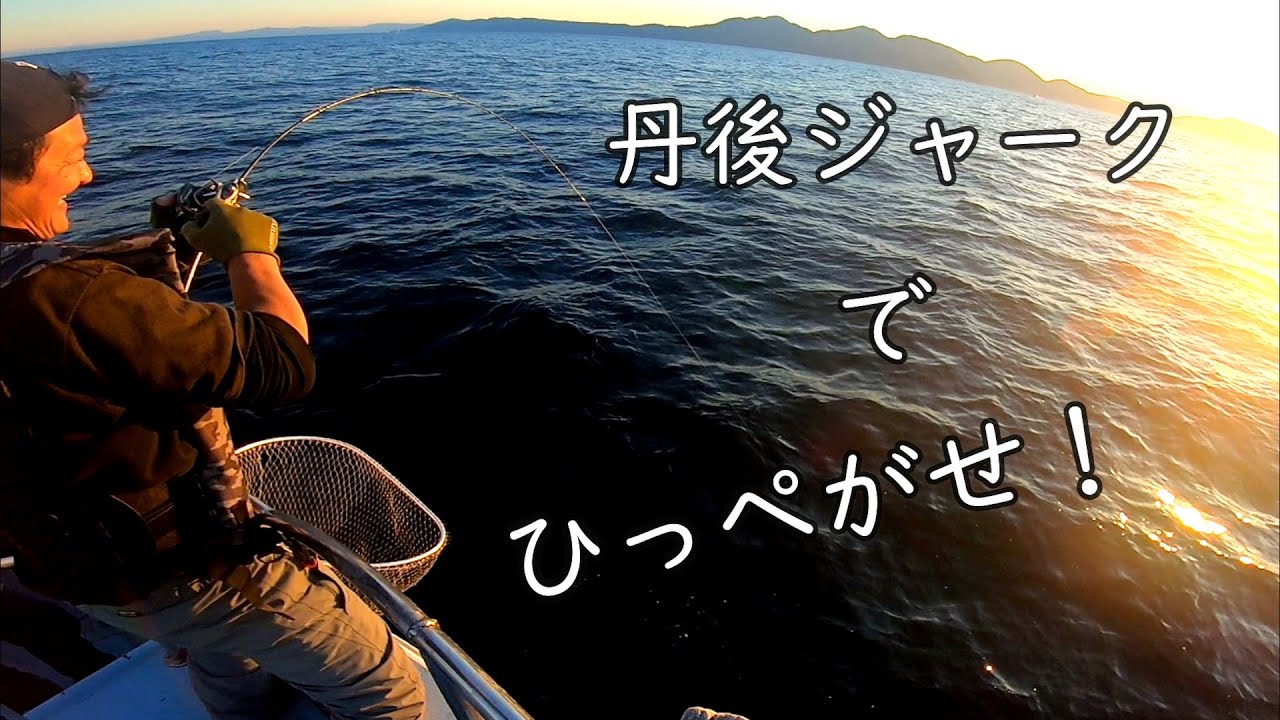 丹後半島で冬のブリジギング　巨大寒ブリを求めて