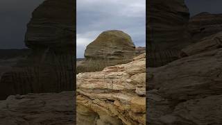 Sabias que en la PATAGONIA existe el bosque petrificado MAS GRANDE del MUNDO? #guiadeviaje #CHUBUT