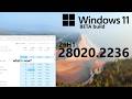 Windows 11 Beta Build 28020.2236 (26H1): What's New?