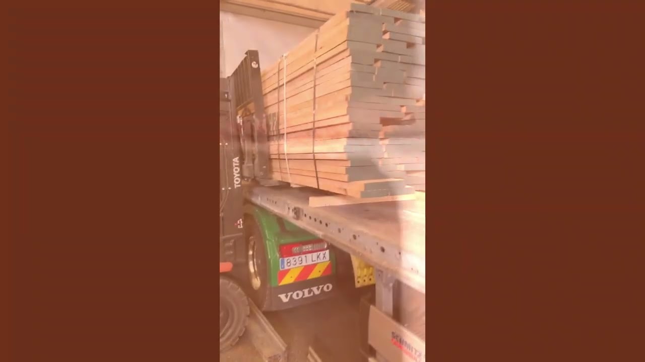 Roble Rojo Americano