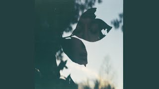 Bi Marefat - Mohammad Lifer