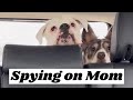 Spying on mom 