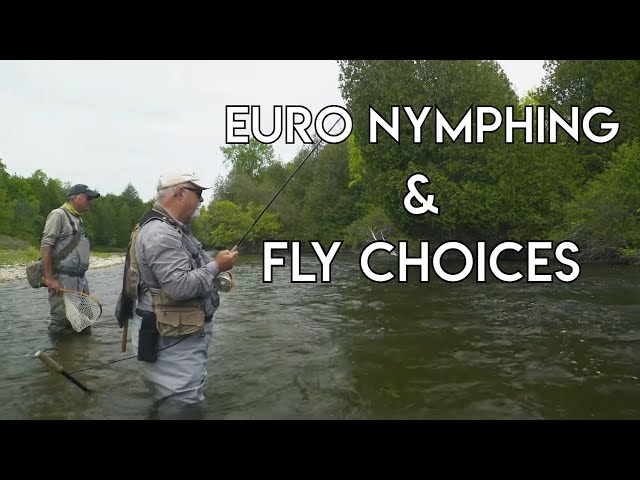 Euro Nymphing Techniques 