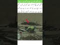 True devotion shines even in the harshest desert#islamicshorts #islamicvideo #islamicstatus