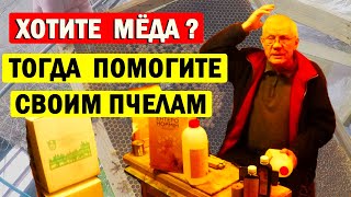 Гибель пчел. Нозематоз. Иммунитет пчел. Что пчеловод сделал, чтобы помочь пчелам?
