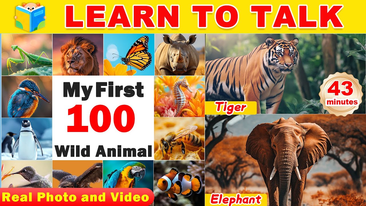 Learn 100 Wild Animal Names 🐯 | Ms Rachel Style | Toddler Speech Video